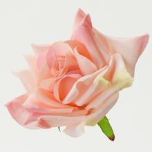 HLAVA RŮŽE 12cm - Růže | FLORASYSTEM