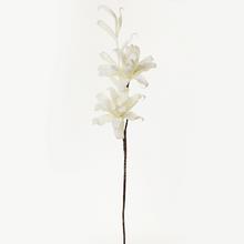 KS KVĚT PĚNA - BÍLÁ 85cm - Umělé květiny pěnové | FLORASYSTEM
