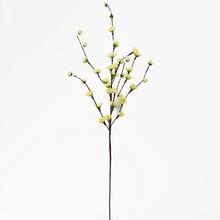 ČÁST švestkové květy SMETANOVÁ 77cm - Větev květ | FLORASYSTEM