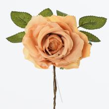 Kusovky RŮŽE 19cm - Růže | FLORASYSTEM