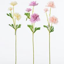 KS KVĚT MIX 3 BAREV - Luční květy | FLORASYSTEM