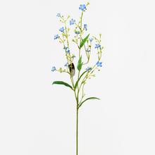 Vrbovka MODRÁ 47cm - Luční květy | FLORASYSTEM