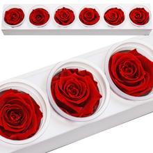 Ruža preparovaná 6,5cm VIBRANT RED /ks - bal. 6 ks - ruže | FLORASYSTEM