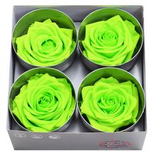 Ruža preparovaná 7/8cm LIME GREEN /ks - bal. 4 ks - ruže | FLORASYSTEM
