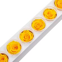 Ruža preparovaná 6,5cm SUNNY YELLOW /ks - ruže | FLORASYSTEM