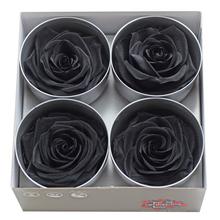 Ruža preparovaná 7/8cm BLACK /ks - bal. 4 ks - ruže | FLORASYSTEM