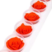 Ruža preparovaná 6,5cm ORANGE FLAME /ks - ruže | FLORASYSTEM