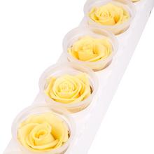 Ruža preparovaná 6,5cm CHAMPAGNE /ks - bal. 6 ks - ruže | FLORASYSTEM
