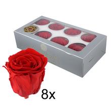 Ruža preparovaná 5cm VIBRANT RED /ks - bal. 8 ks - ruže | FLORASYSTEM