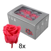 Ruža preparovaná 4cm DARK PINK /ks - bal. 8 ks - ruže | FLORASYSTEM