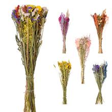 BQ FANTASIA sušená kytica kvetov/zv - Sušené kvety a zeleň | FLORASYSTEM