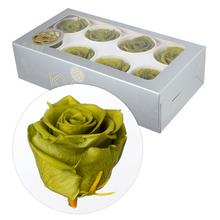 Ruža preparovaná 5cm EMERALD GREEN /ks - bal. 8 ks - ruže | FLORASYSTEM