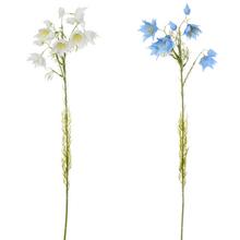 KONÁR NIGELLA 2F 66CM - Luční květy | FLORASYSTEM