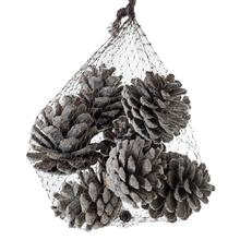 ŠIŠKY zasnež. V SIETKE 200-210g 8ks Pine fruit flocking 8szt/kpl - Sušený materiál | FLORASYSTEM