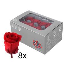 Ruža preparovaná RED 4cm/ks - bal. 8ks - FLORASYSTEM