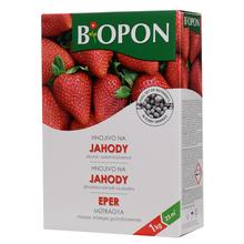 BOPON 1kg - JAHODY A LESNÍ JAHODY B1060 - FLORASYSTEM