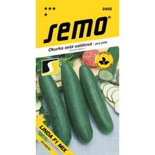 OKURKY Sal LINDA F1 MIX 1,3g - FLORASYSTEM