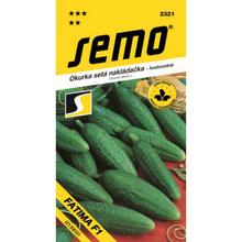 OKURKY NAKL FATIMA F1 2g - SEMO | FLORASYSTEM