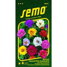 Šrucha plnokvěté 0,2g - FLORASYSTEM