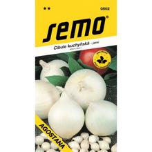 CIBULE JARNÍ BÍLÁ AGOSTANA 1g - SEMO | FLORASYSTEM