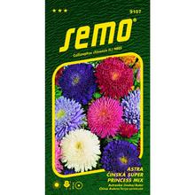 ASTRA ČÍNSKÁ SUPER PRINC SMĚS 0,5g - FLORASYSTEM