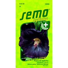 Topolovka růžová 0,8g - SEMO | FLORASYSTEM