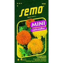 Aksamitník napřímí. Cupidon 0,5g - SEMO | FLORASYSTEM