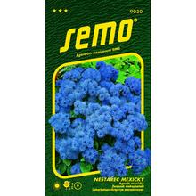 Nestařec americký TETRA BLUE MINK 0,2g - SEMO | FLORASYSTEM