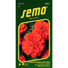 Aksamitník ROZL BONANZA DEEP ORANGE 30s - SEMO | FLORASYSTEM