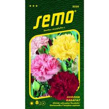 Hřebíčku ZAHRADNÍ SMĚS 0,3g - FLORASYSTEM