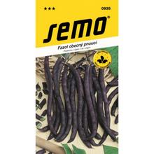 FAZOLE PURPLE PODDED CLIMBING 7g - SEMO | FLORASYSTEM