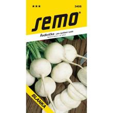 ŘEDKVIČKA BLANKA PRO POLE BÍLÁ 5g - SEMO | FLORASYSTEM