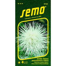 Astra ČÍNSKÁ ELECTRIC BÍLÁ 0,5g - FLORASYSTEM