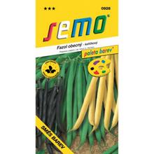 FAZOLE křičí. SMĚS BAREV 15g - SEMO | FLORASYSTEM