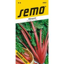 MANGOLD Rhubarb CHARD 4g - SEMO | FLORASYSTEM