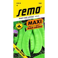 HRÁCH CUKROVÉ SWEET SALOME 12s - SEMO | FLORASYSTEM