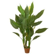 25FLK0808 STROM Spathiphyllum 140cm - Umělé stromy | FLORASYSTEM