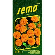 Aksamitník PETIT ORANŽ. 1g - SEMO | FLORASYSTEM