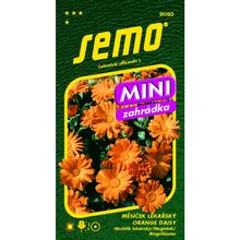 MĚSÍČEK ORANGE DAISY 0,6g - SEMO | FLORASYSTEM