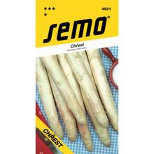 CHŘEST BÍLÁ ARGENTEUIL 2,5g - SEMO | FLORASYSTEM