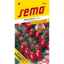 Rajčete KOL. Pollicino F1 12s - SEMO | FLORASYSTEM