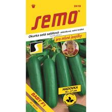 OKURKY SAL. BABY F1 10s - SEMO | FLORASYSTEM