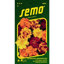 Aksamitník ROZL DURANGO MIX 30s - SEMO | FLORASYSTEM