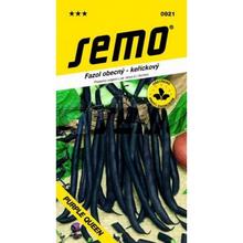 FAZOLE zahrnout. KR. PURPLE QUEEN 10g - SEMO | FLORASYSTEM