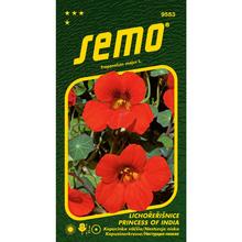 Lichořeřišnice PRINCESS OF INDIA 2g - SEMO | FLORASYSTEM