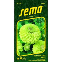 Cínie ENVY 0,5g - FLORASYSTEM