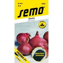 CIBULE ŠALOTKA PRISMA F1 / CAMELOT F1 0,2 g - SEMO | FLORASYSTEM
