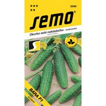 OKURKY NAKL BARA F1 2g - SEMO | FLORASYSTEM