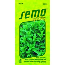 Máta klasnatá 0,10g - FLORASYSTEM