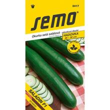 OKURKY SKL Saladin F1 10s - SEMO | FLORASYSTEM